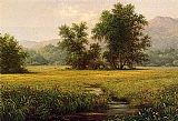 Martin Johnson Heade Canvas Paintings - The Meadow